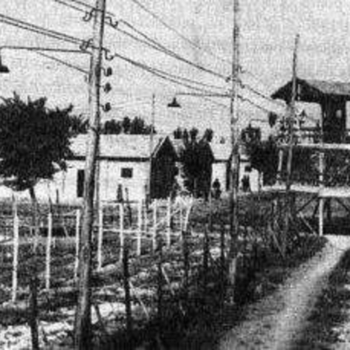 campo concentramento di Grosseto